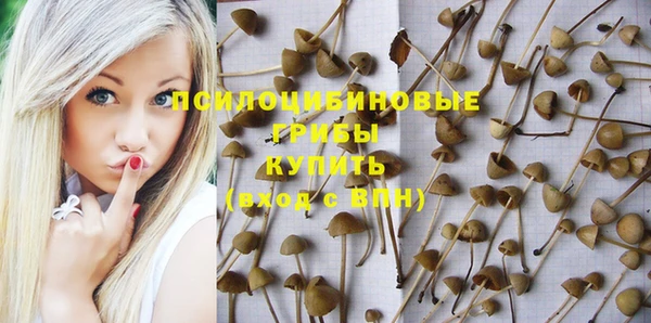 бошки Баксан