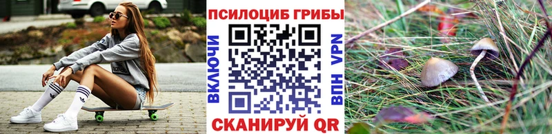 даркнет сайт  Долгопрудный  Псилоцибиновые грибы Magic Shrooms 